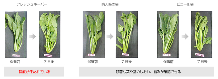フレッシュキーパー性能評価試験結果
